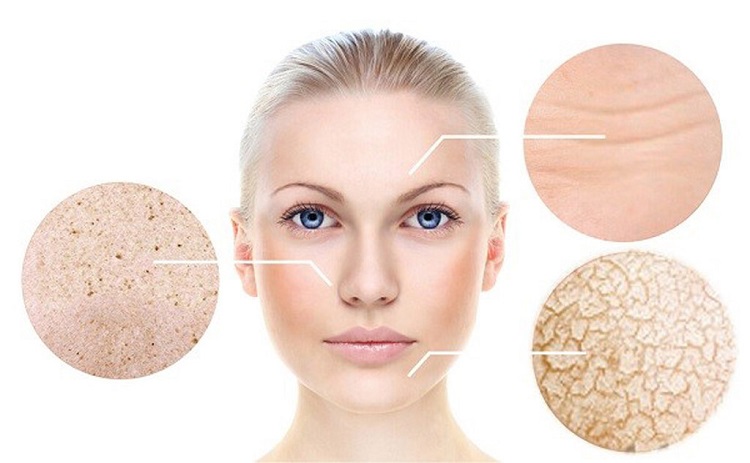 Hàng Rào Bảo Vệ Da Là Gì